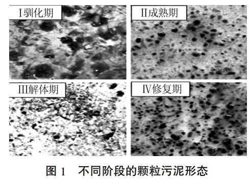 污水處理設備__全康環(huán)保QKEP