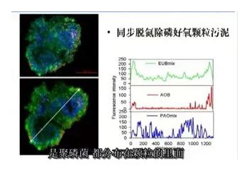 污水處理設(shè)備__全康環(huán)保QKEP