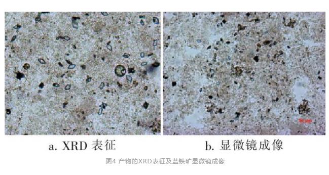 污水處理設備__全康環(huán)保QKEP