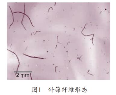 污水處理設(shè)備__全康環(huán)保QKEP