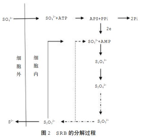 污水處理設備__全康環(huán)保QKEP