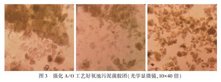 污水處理設(shè)備__全康環(huán)保QKEP