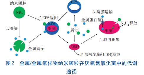 污水處理設備__全康環(huán)保QKEP